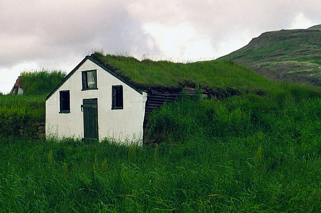 Schuppen mit Grasdach