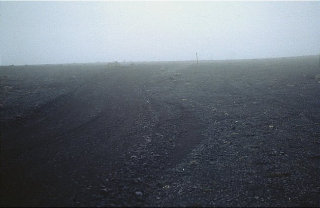 Nebel